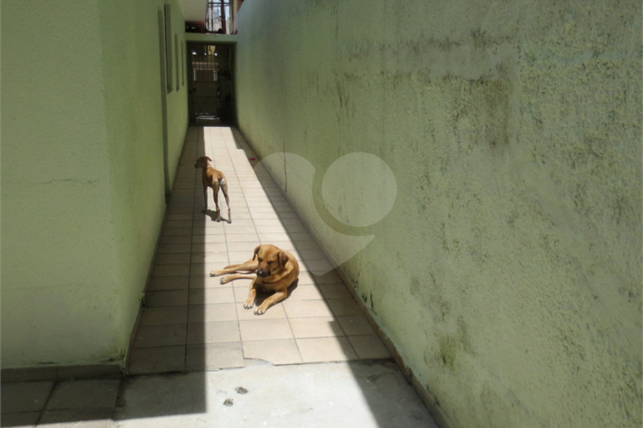 Casa Térrea à venda com 4 quartos, sendo 1 suíte, em Saúde, São Paulo, SP