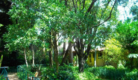 Casa Térrea à venda com 5 quartos em Alto da Boa Vista, São Paulo, SP