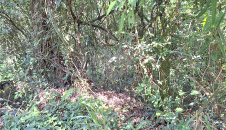 Terreno à venda no condomínio Alpes da Cantareira, Mairiporã - SP