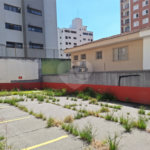 Terreno para alugar em Água Fria, São Paulo, SP