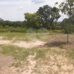 Chácara à venda com 4 quartos, sendo 1 suíte, em Vista Alegre, Vinhedo, SP