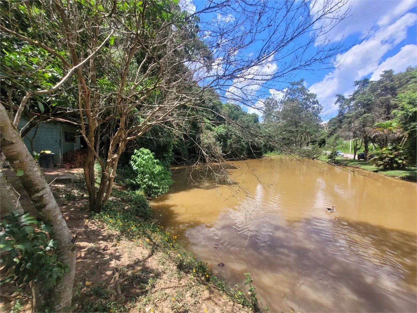 Terreno à venda em Parque Rizzo, Cotia, SP