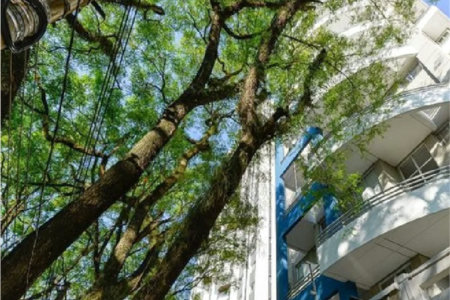 Duplex à venda ou para alugar com 1 suíte em Vila Madalena, São Paulo, SP
