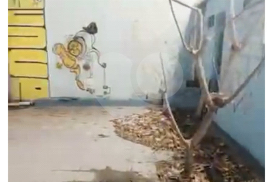 Sobrado para alugar com 11 suítes em Vila Mariana, São Paulo, SP