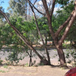 Casa à venda com 3 quartos, sendo 1 suíte, em Vila Boa Vista 1, São Carlos, SP