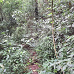 Terreno à venda no condomínio Campos de Mairiporã Gleba 1, Mairiporã - SP