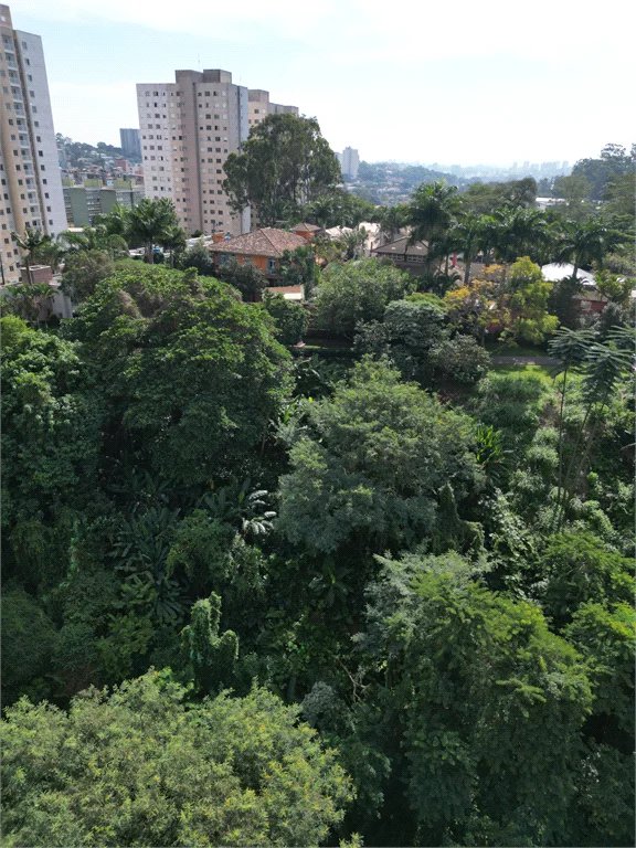 Terreno à venda em Paraisópolis, São Paulo, SP
