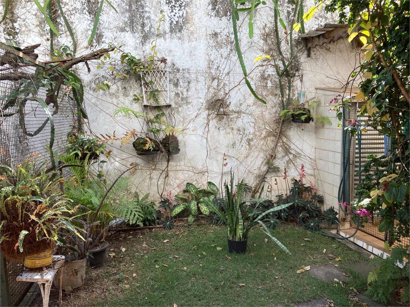 Casa à venda com 5 quartos, sendo 2 suítes,  em Vila Maria Alta, São Paulo, SP