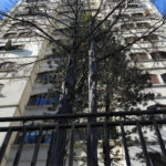 Apartamento à venda com 3 quartos, sendo 1 suíte, em Vila Progredior, São Paulo, SP
