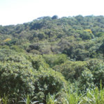 Sítio à venda com 1 quarto em Pirucaia, Mairiporã, SP