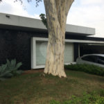 Casa para alugar em Vila Hamburguesa, São Paulo, SP