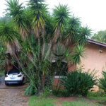 Casa à venda com 3 quartos, sendo 1 suíte, no condomínio Vale da Santa Fé, Vinhedo - SP