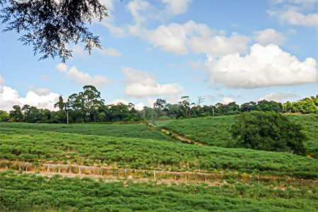Terreno à venda em Iara, Atibaia, SP