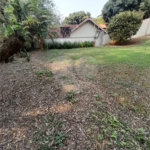 3 AMPLAS SUITES MAIS ECRITORIO MUITO VERDE E AMPLO QUINTAL