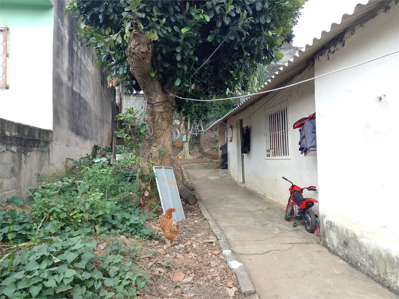 Terreno à venda com 1 quarto em Jaçanã, São Paulo, SP