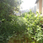 Terreno à venda em Vila São José, Valinhos, SP