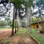 Casa à venda com 6 quartos, sendo 5 suítes,  em Santa Claudina, Vinhedo, SP
