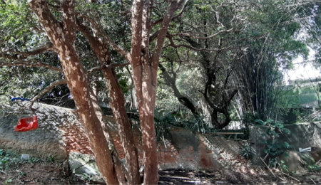 Terreno à venda em Santa Teresinha, São Paulo, SP