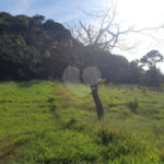 Terreno à venda em Vila Darcy Penteado (mailasqui), São Roque, SP