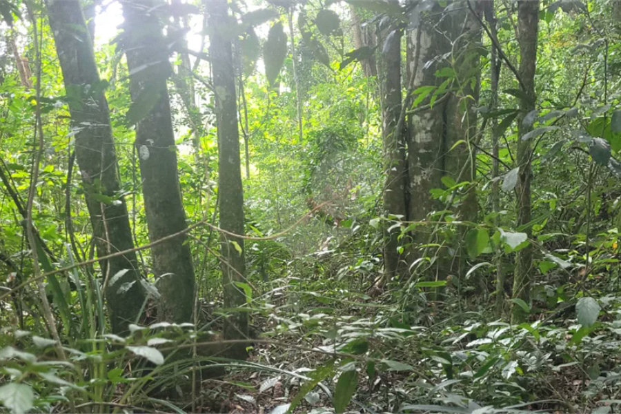 Terreno à venda em Mantiqueira, Mairiporã, SP
