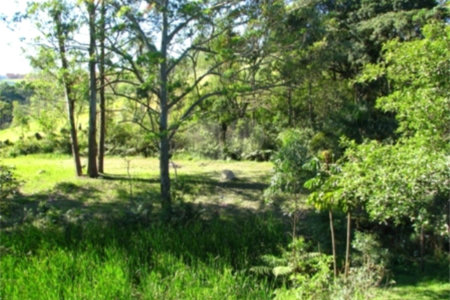 Sítio à venda com 3 quartos, sendo 1 suíte,  em Caputera, Mogi das Cruzes, SP
