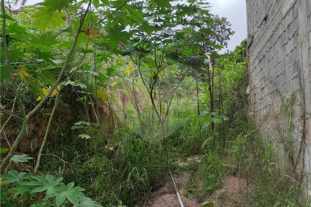 Terreno à venda em Chora Menino, São Paulo, SP