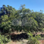 Sitio São João - Km 258