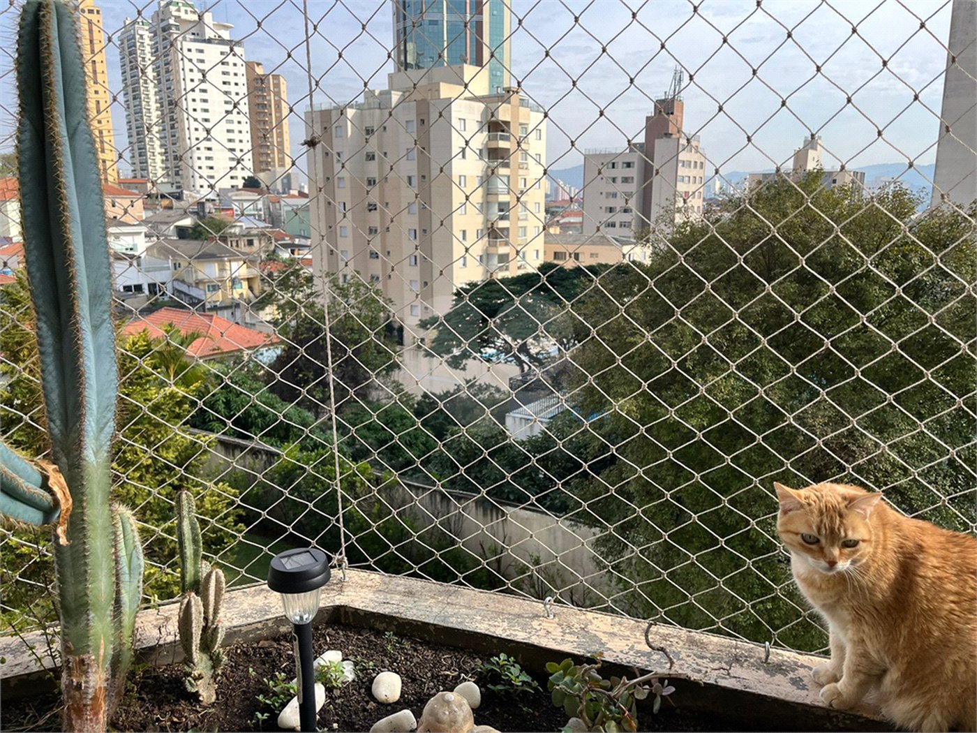 Apartamento à venda com 4 quartos, sendo 2 suítes,  em Água Fria, São Paulo, SP