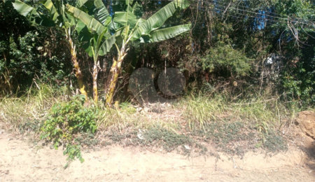 Terreno à venda em Serra da Cantareira, Mairiporã, SP