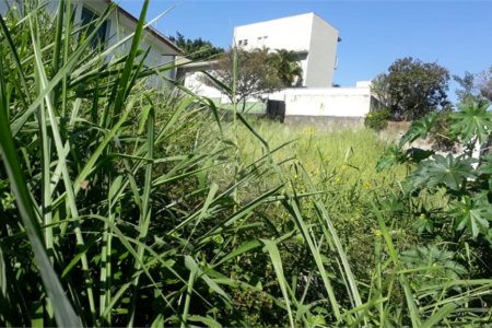 Terreno à venda em Jardim São Bento, São Paulo, SP