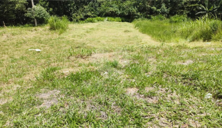 Terreno à venda em Jardim Jurema, Valinhos, SP