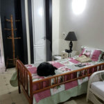 Casa à venda com 3 suítes no condomínio Palm Lane, São Paulo - SP