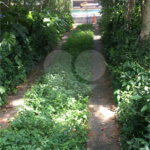Terreno à venda ou para alugar em Horto, São Paulo, SP