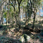 Terreno à venda em Jundiaizinho (terra Preta), Mairiporã, SP