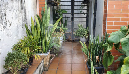 Terreno à venda em Vila Paulicéia, São Paulo, SP