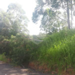 Terreno à venda em Vale Verde, Valinhos, SP