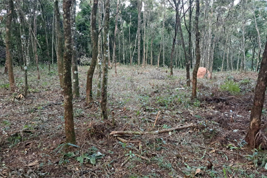 Terreno à venda em Serra da Cantareira, Mairiporã, SP