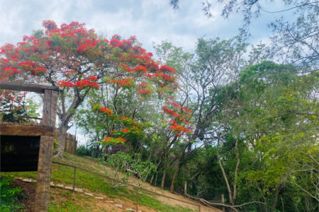 Casa à venda com 7 suítes em Albatroz, Armação dos Búzios, RJ