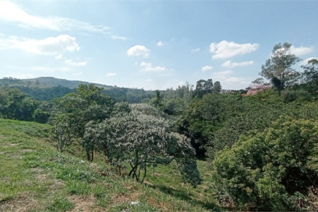 Terreno à venda em Observatório, Vinhedo, SP