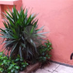Casa à venda na Vila Carrão, 3 quartos (1 suíte)