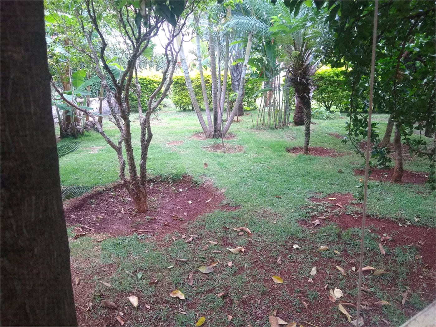 Casa à venda ou para alugar com 2 quartos, sendo 1 suíte,  em Vila Novo Horizonte, Itapetininga, SP