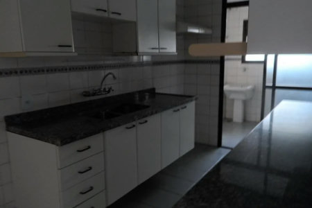 Apartamento à venda com 2 quartos, sendo 1 suíte, em Vila Suzana, São Paulo, SP
