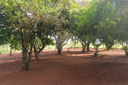 Chácara à venda com 1 quarto no Centro, Araraquara, SP