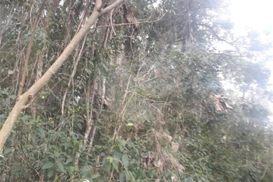 Terreno à venda em Suasalito, Mairiporã, SP