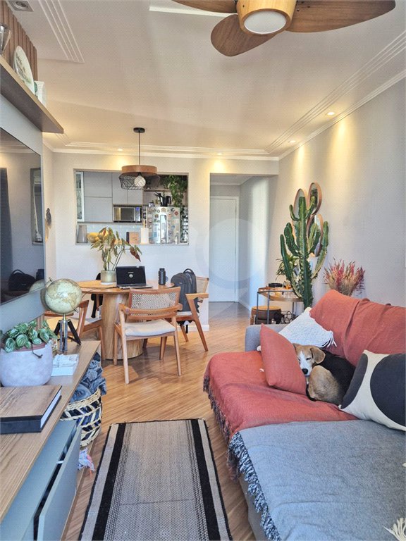 Apartamento à venda com 3 quartos, sendo 1 suíte, em Vila Nova Cachoeirinha, São Paulo, SP