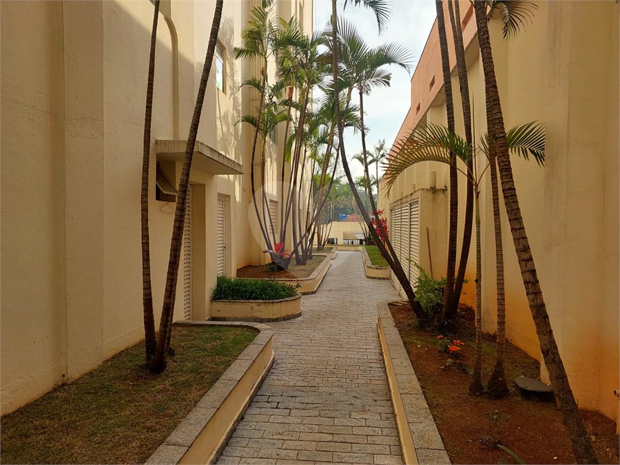 Apartamento à venda com 3 quartos em Vila Ipojuca, São Paulo, SP