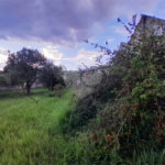 Terreno à venda em Jardim Marcelo Augusto, Sorocaba, SP