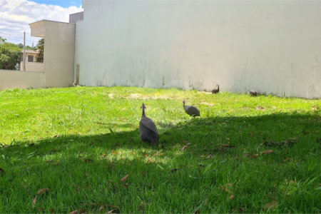 Terreno à venda no condomínio Renaissance, Sorocaba - SP
