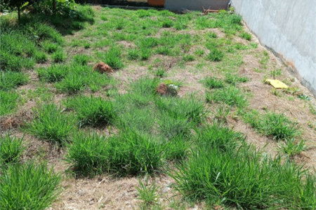 Terreno à venda em Jardim Paulista, Atibaia, SP