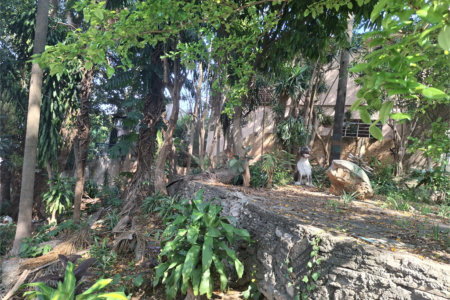 Terreno à venda com 1 quarto em Sumaré, São Paulo, SP